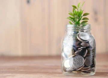 Cómo vender en internet, y (a ser posible) ganar dinero