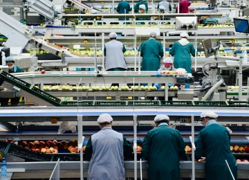 Hacemos páginas web, no ensamblaje